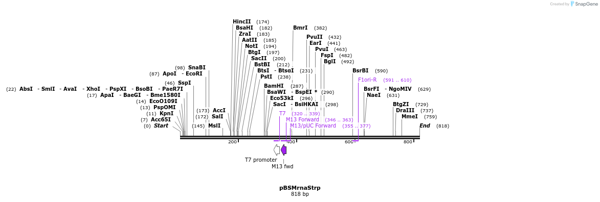123610_map