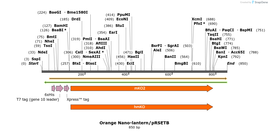 123613_map
