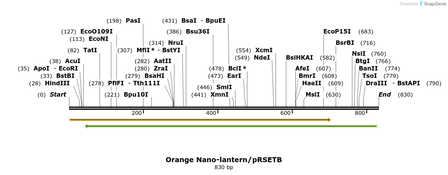 123616_map
