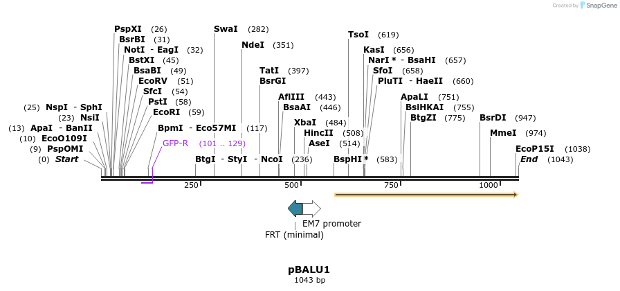 123617_map