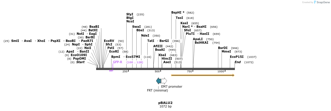 123620_map