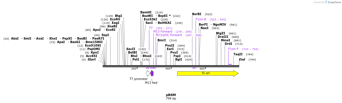 123628_map
