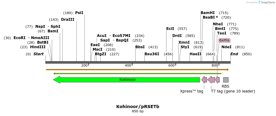 123633_map