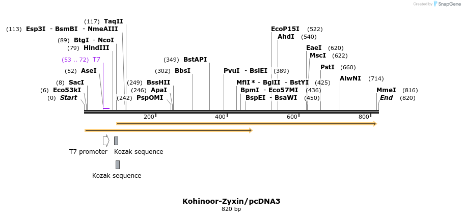 123639_map