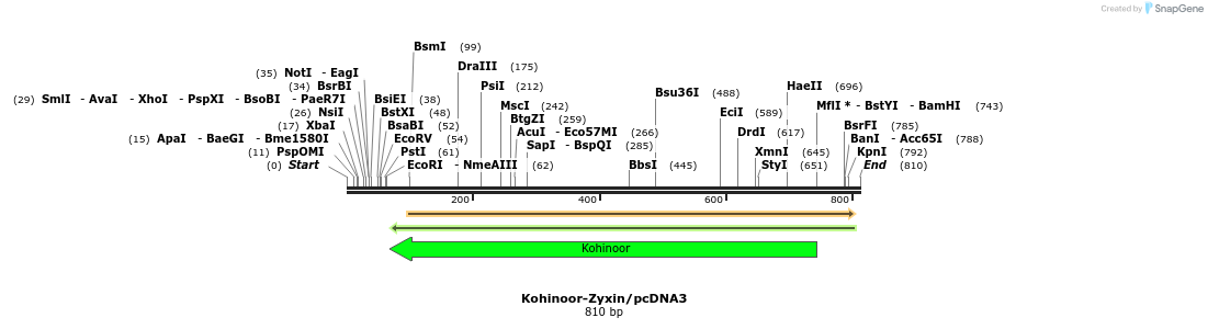 123640_map