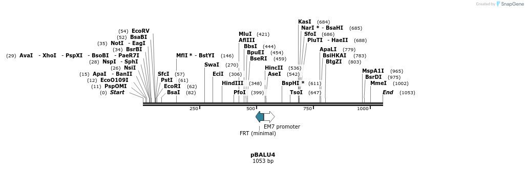 123642_map