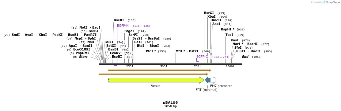 123654_map