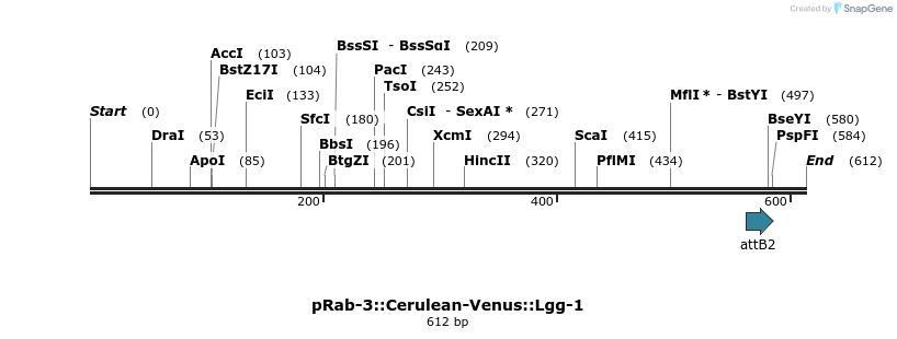 123659_map