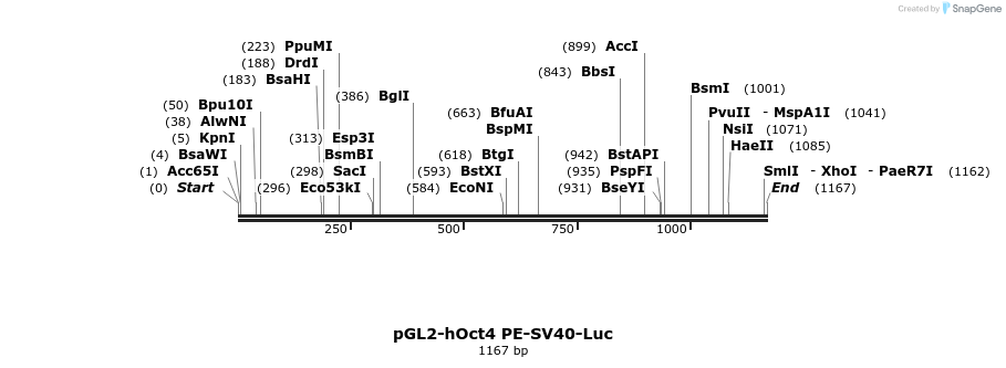 12366_map