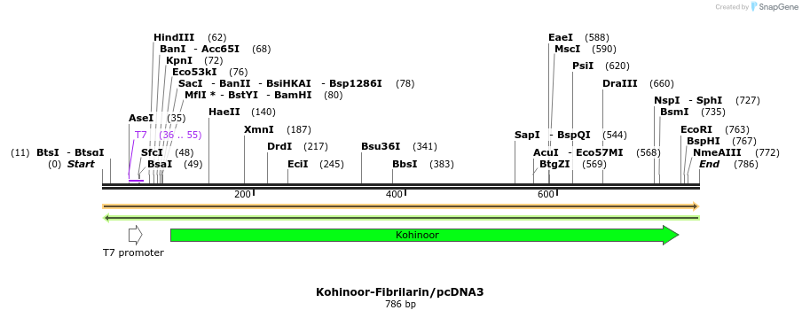 123664_map