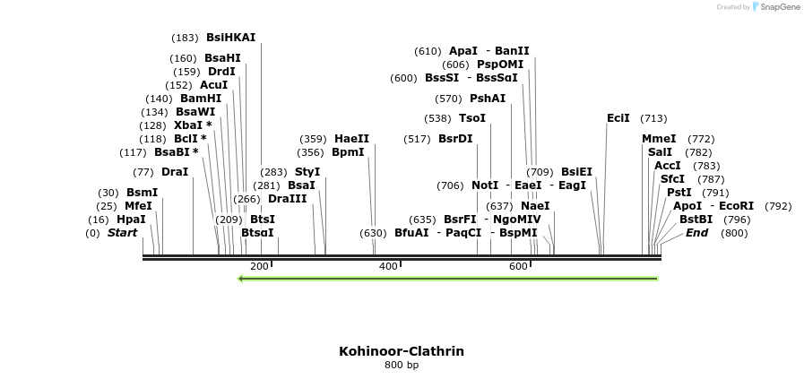 123665_map