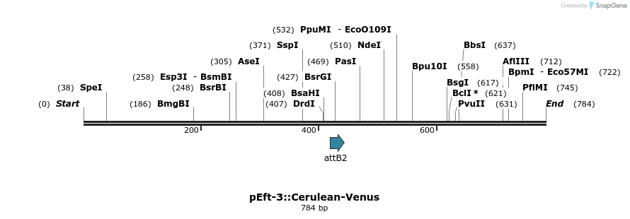 123679_map