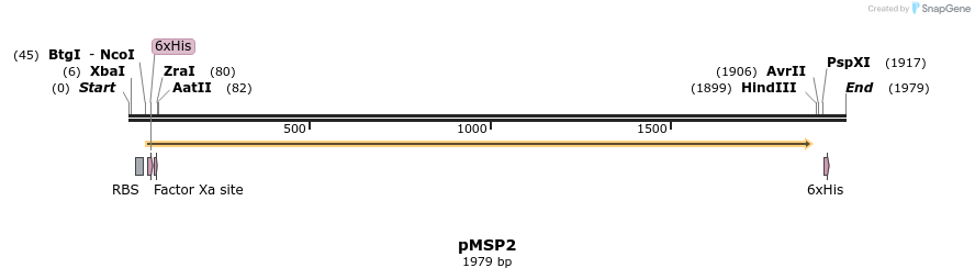 12368_map