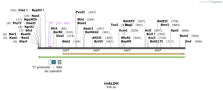 123686_map