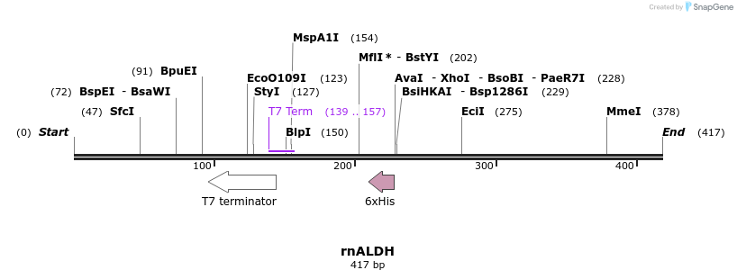 123687_map