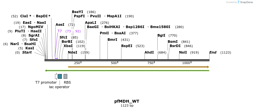 123689_map