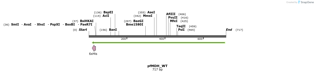 123690_map