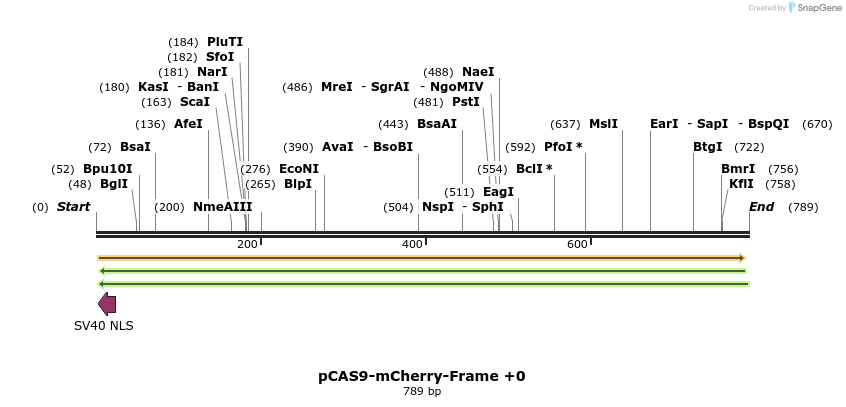 123695_map