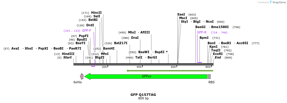 123715_map