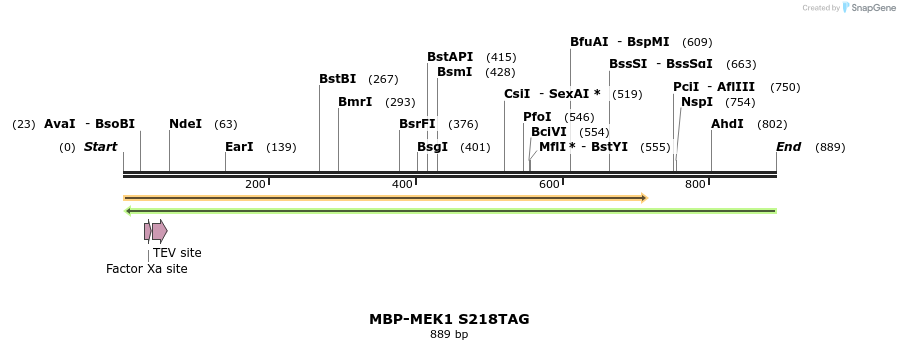 123724_map