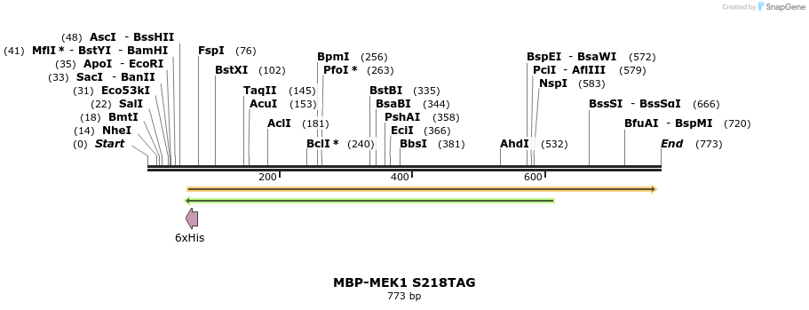 123726_map