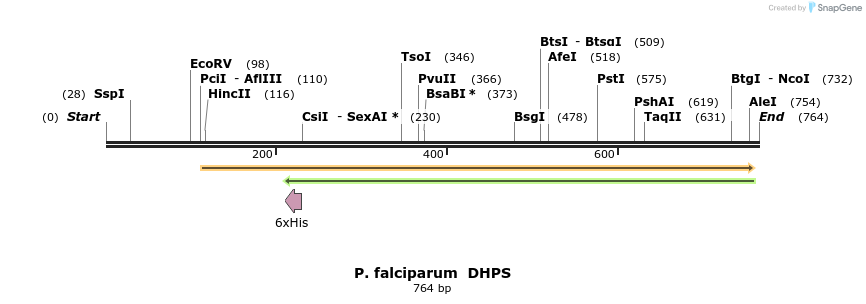 123734_map