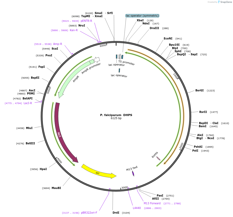123736_map