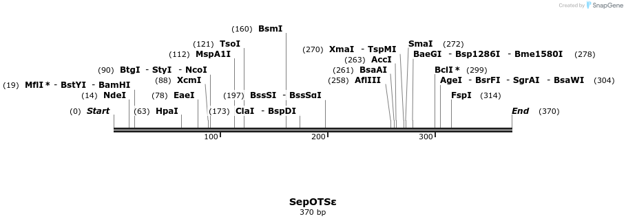 123738_map
