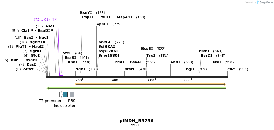 123739_map