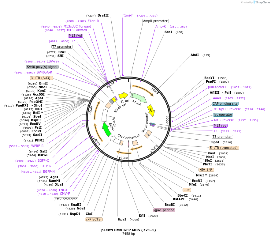12374_map