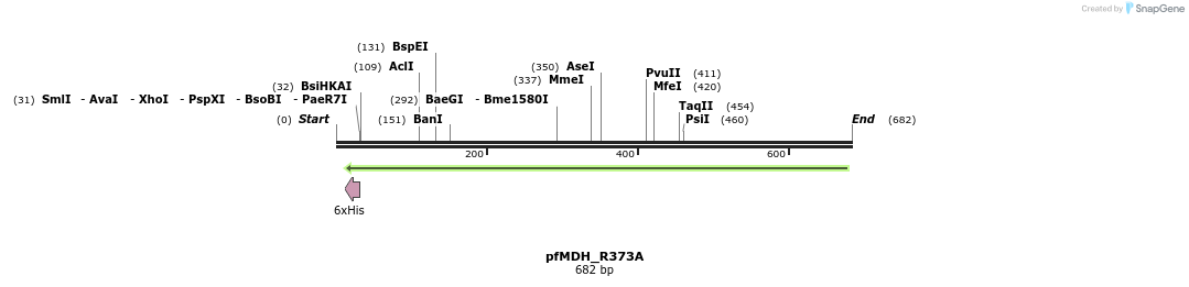 123740_map