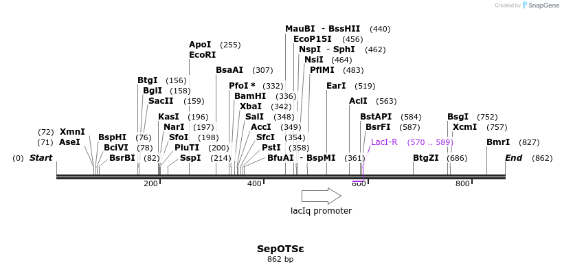 123741_map