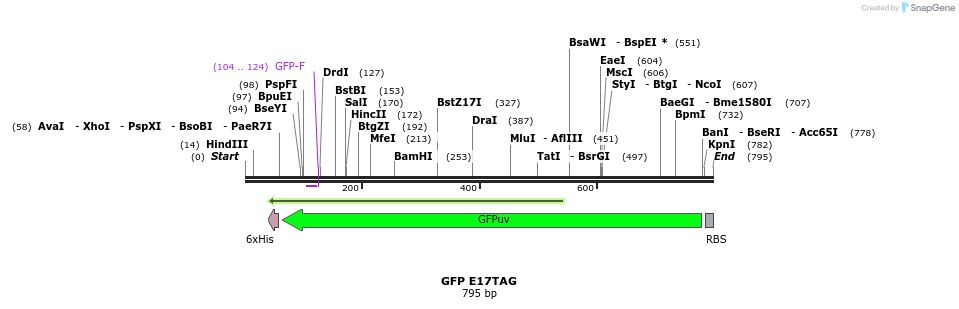 123747_map