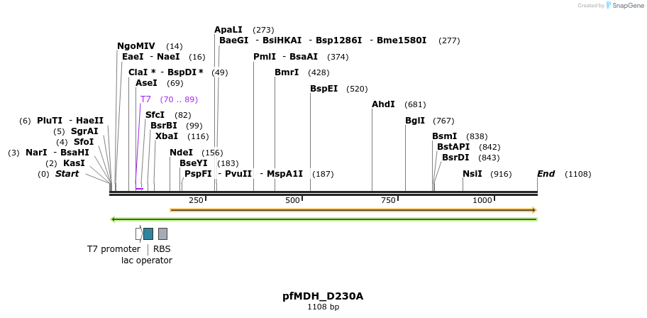 123750_map
