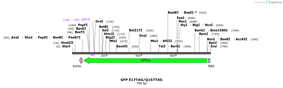 123752_map