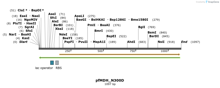 123756_map