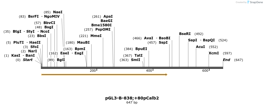 123775_map
