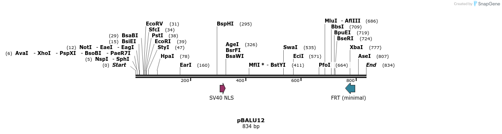 123783_map