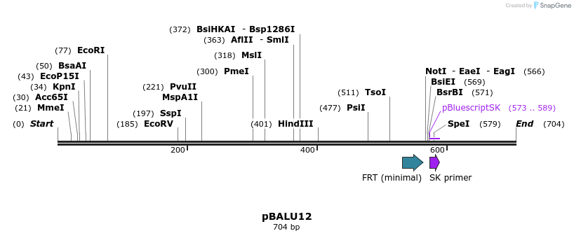 123784_map