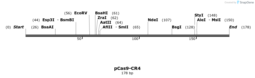 123785_map