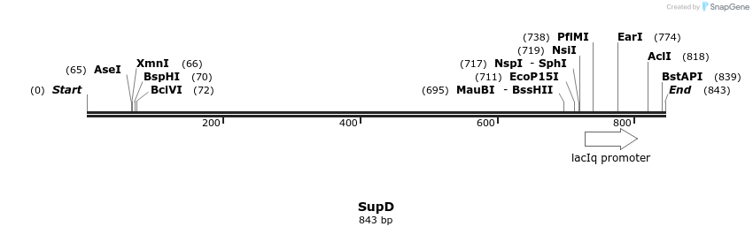 123793_map