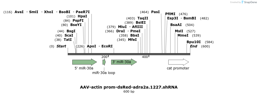 123796_map