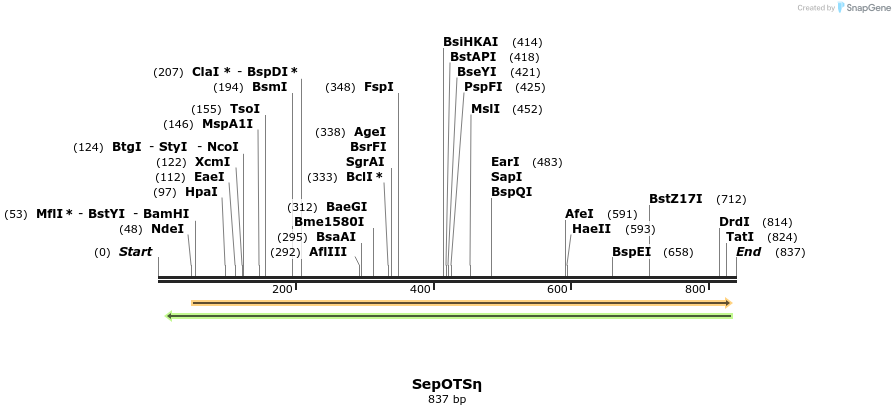 123797_map