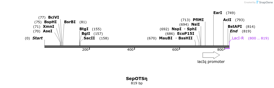 123798_map