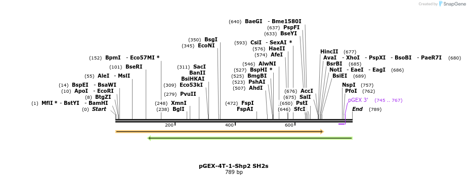 123799_map
