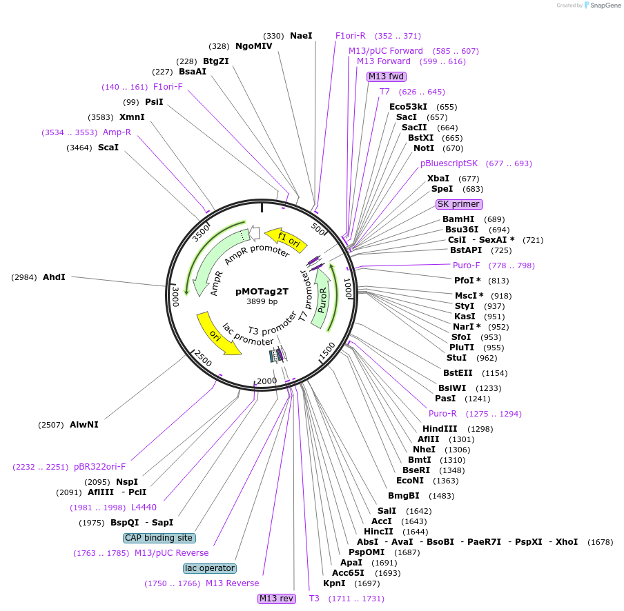 12380_map