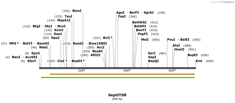 123802_map