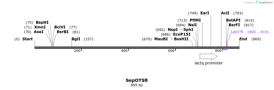 123803_map