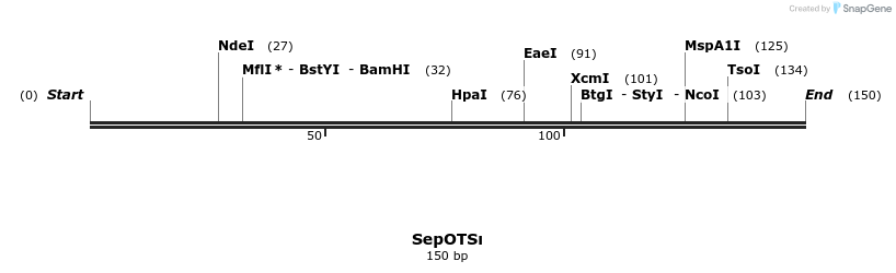 123805_map