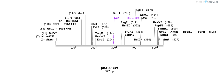 123806_map